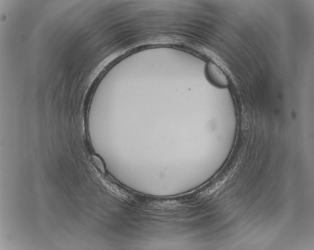 X0000069390837200606021630