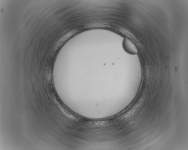 X0000069390841200606021630