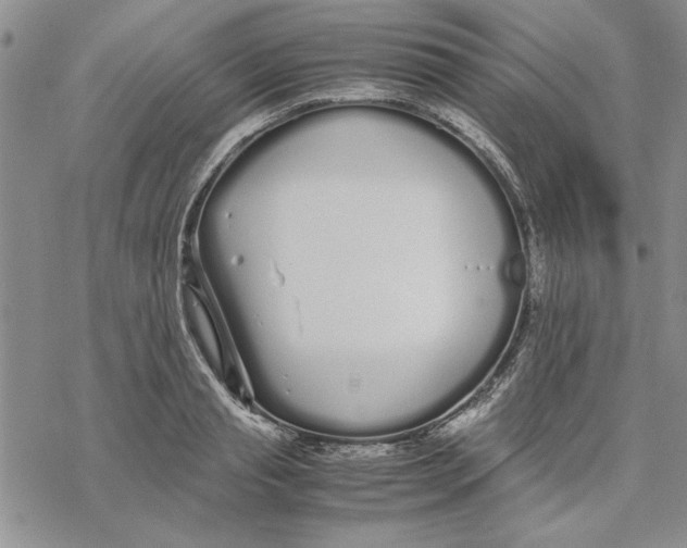 X0000069390845200606021630