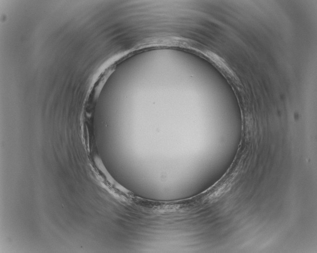 X0000069390846200606021630