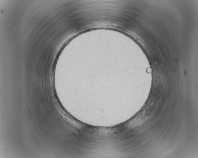 X0000069390848200606021630