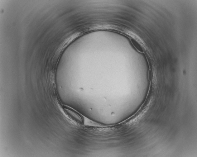 X0000069390849200606021630