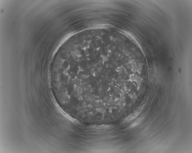 X0000069390851200606021630