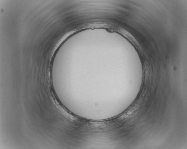 X0000069390852200606021630