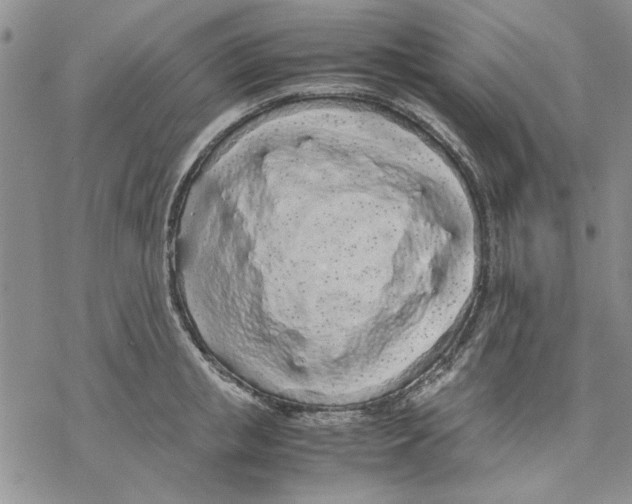 X0000069390853200606021630