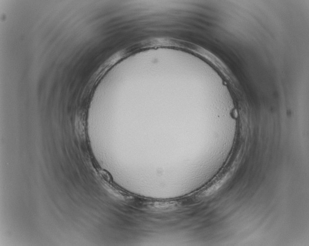 X0000069390857200606021630