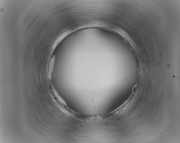 X0000069390858200606021630