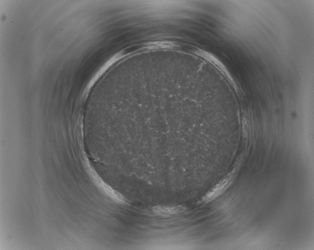 X0000069390859200606021630