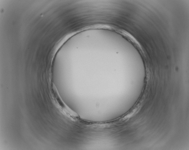 X0000069390860200606021630