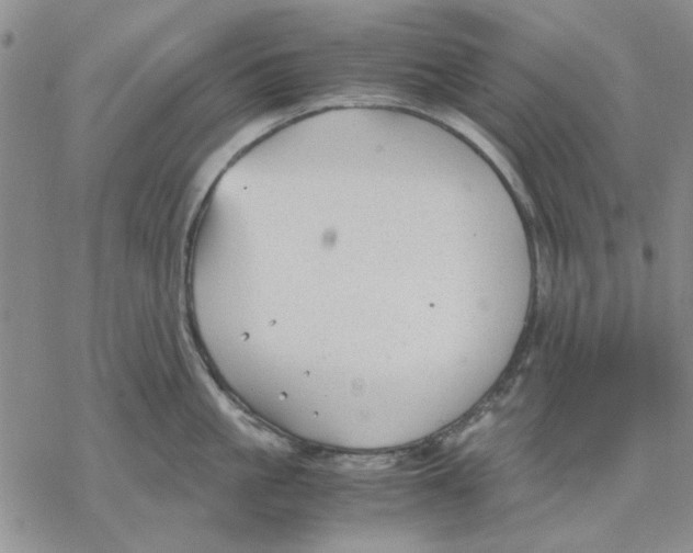 X0000069390861200606021630