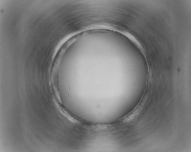 X0000069390862200606021630