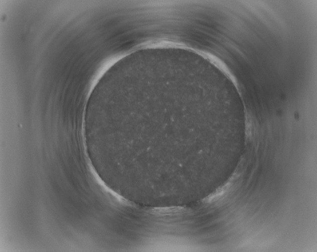 X0000069390863200606021630