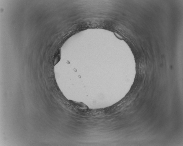 X0000069390865200606021629