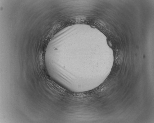 X0000069390866200606021629