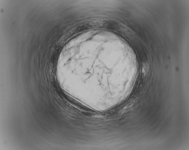 X0000069390867200606021629