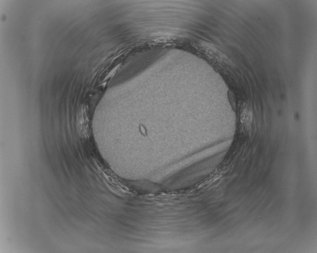 X0000069390868200606021629