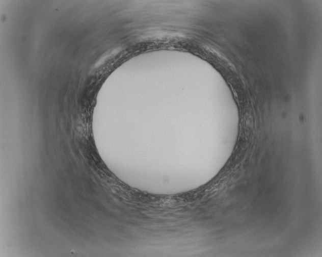 X0000069390869200606021629