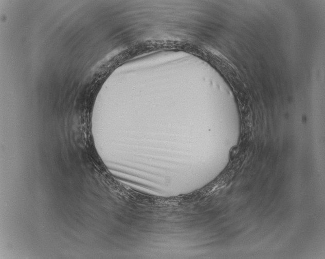 X0000069390870200606021629