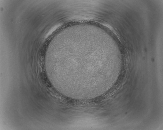 X0000069390871200606021629