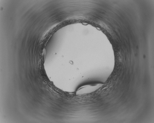 X0000069390872200606021629