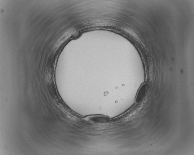 X0000069390873200606021629