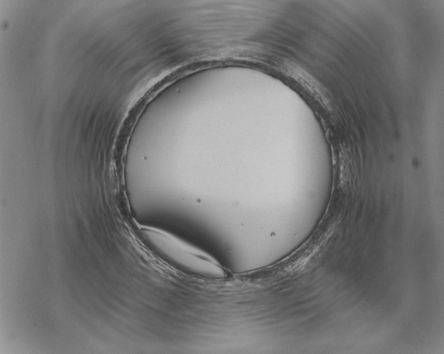 X0000069390876200606021629