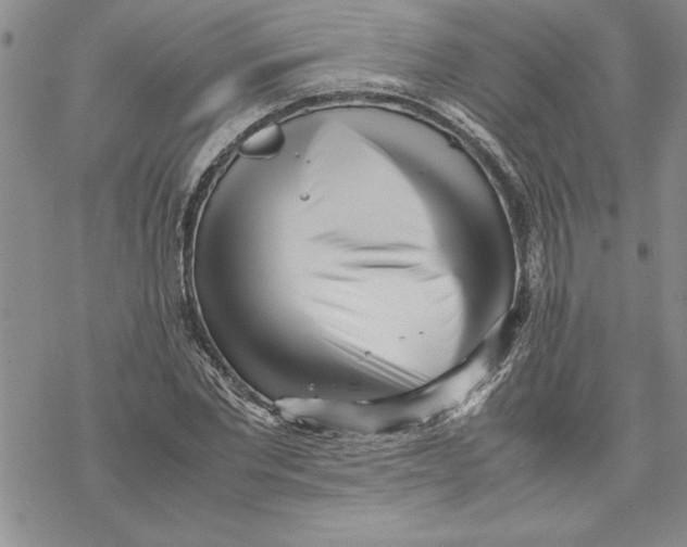 X0000069390877200606021629