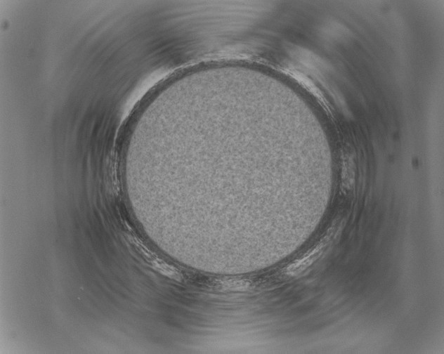 X0000069390878200606021629