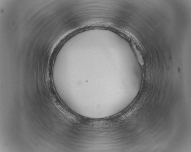 X0000069390880200606021629