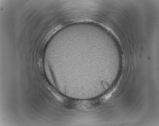 X0000069390881200606021629