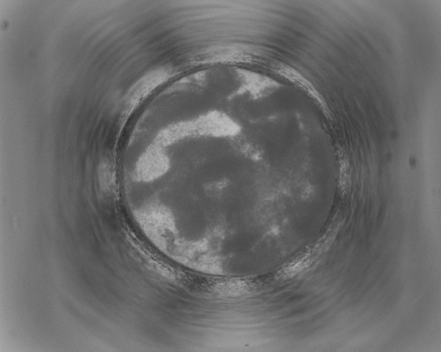 X0000069390882200606021629