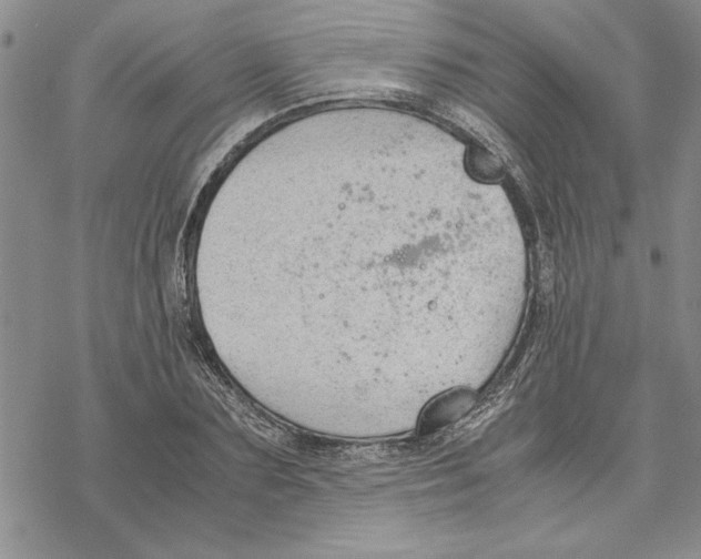 X0000069390883200606021629