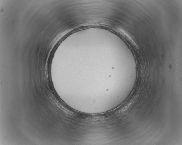 X0000069390884200606021629