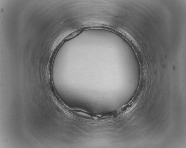 X0000069390885200606021629