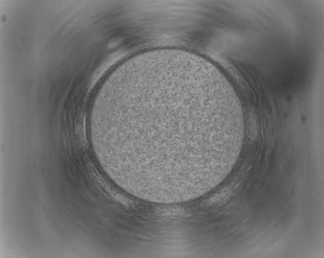 X0000069390886200606021629