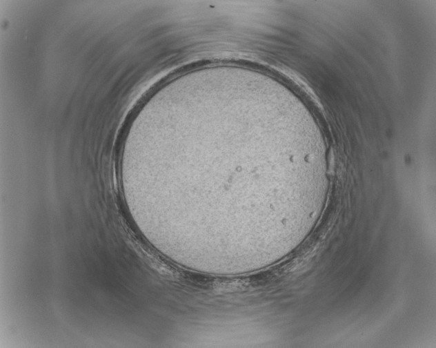 X0000069390887200606021629