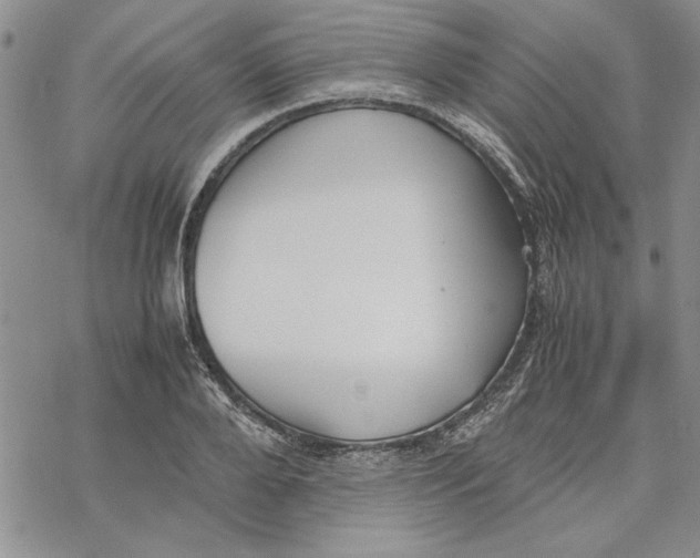 X0000069390888200606021629