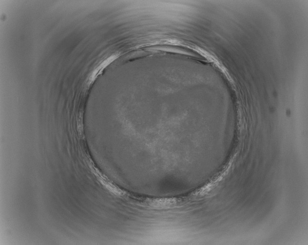 X0000069390889200606021629