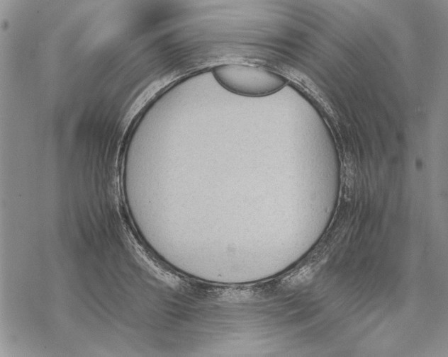 X0000069390890200606021629