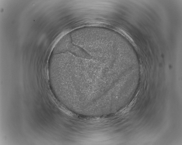 X0000069390891200606021629