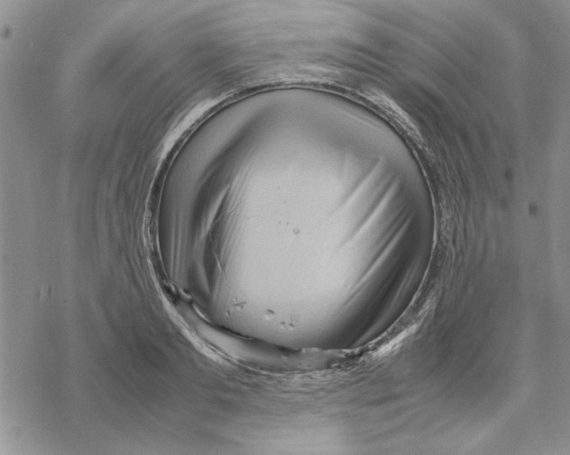 X0000069390893200606021629