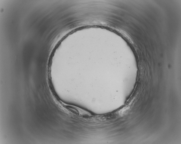 X0000069390895200606021629