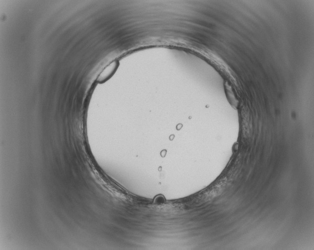 X0000069390896200606021629