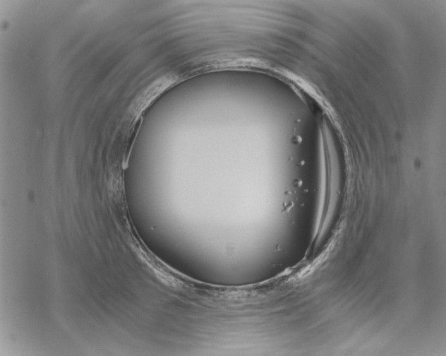 X0000069390897200606021629