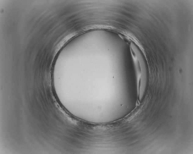 X0000069390898200606021629