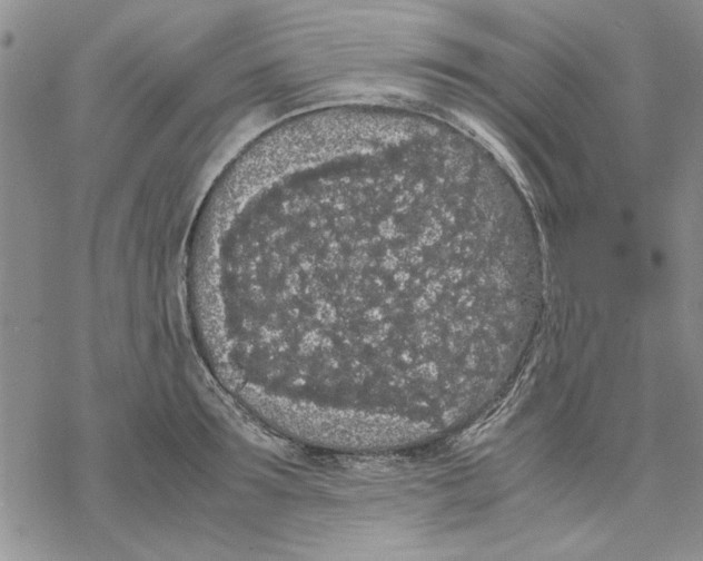 X0000069390899200606021629