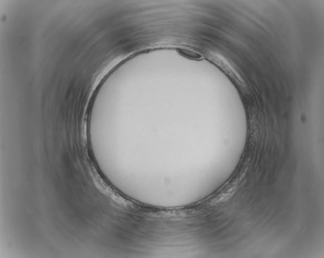 X0000069390900200606021629