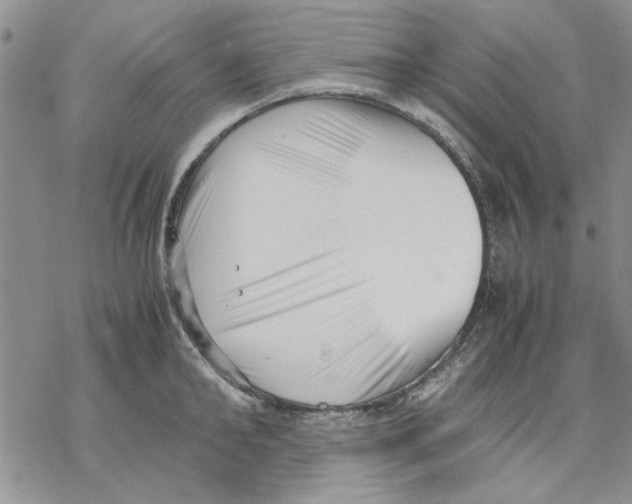 X0000069390902200606021629