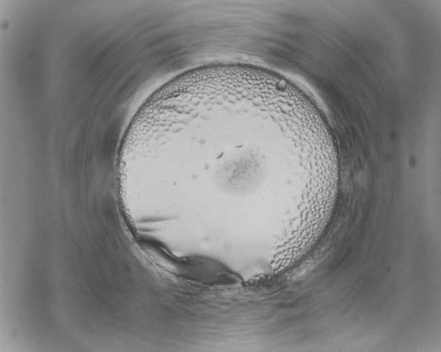 X0000069390903200606021629