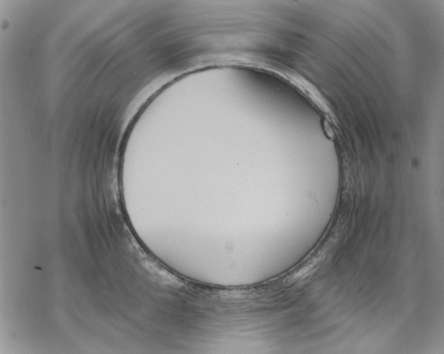 X0000069390904200606021629